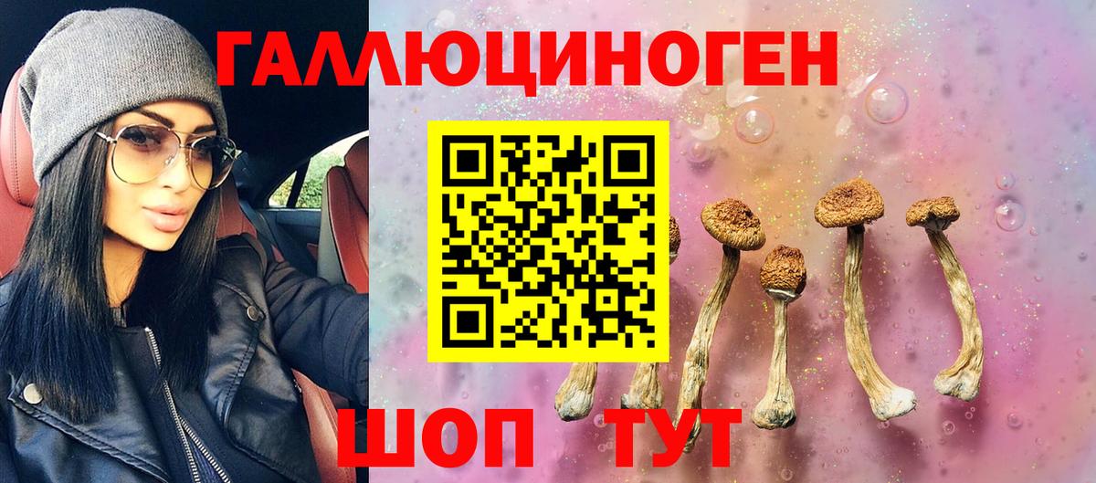 цены   Вход с VPN  Бутурлиновка  Галлюциногенные грибы Psilocybe 